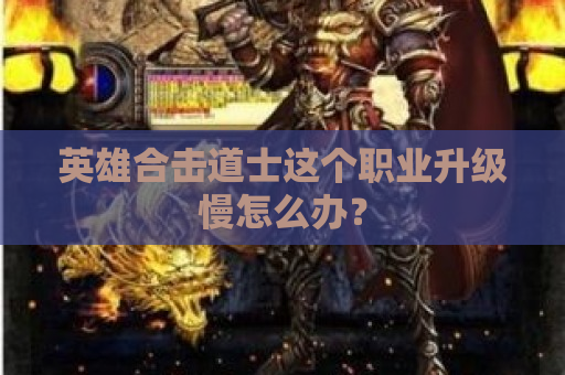 英雄合击道士这个职业升级慢怎么办？
