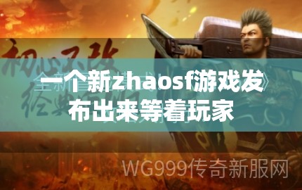 一个新zhaosf游戏发布出来等着玩家